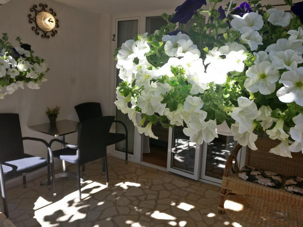 Apartment Ana -